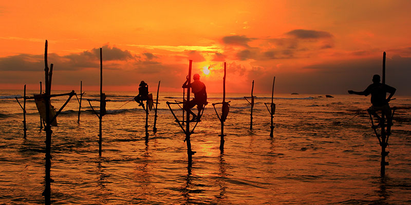 Stilt fishermen at dawn